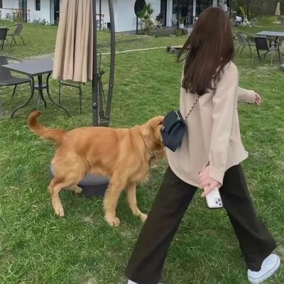 什么也没发生
